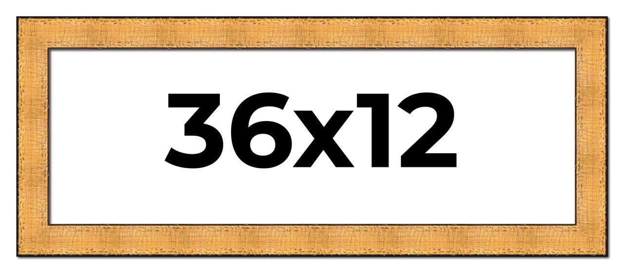 12x36 Embellished Picture Frame with UV-Resistant Acrylic & Acid Free Backing, Available in 3 Finishes - Black, Brown, Gold